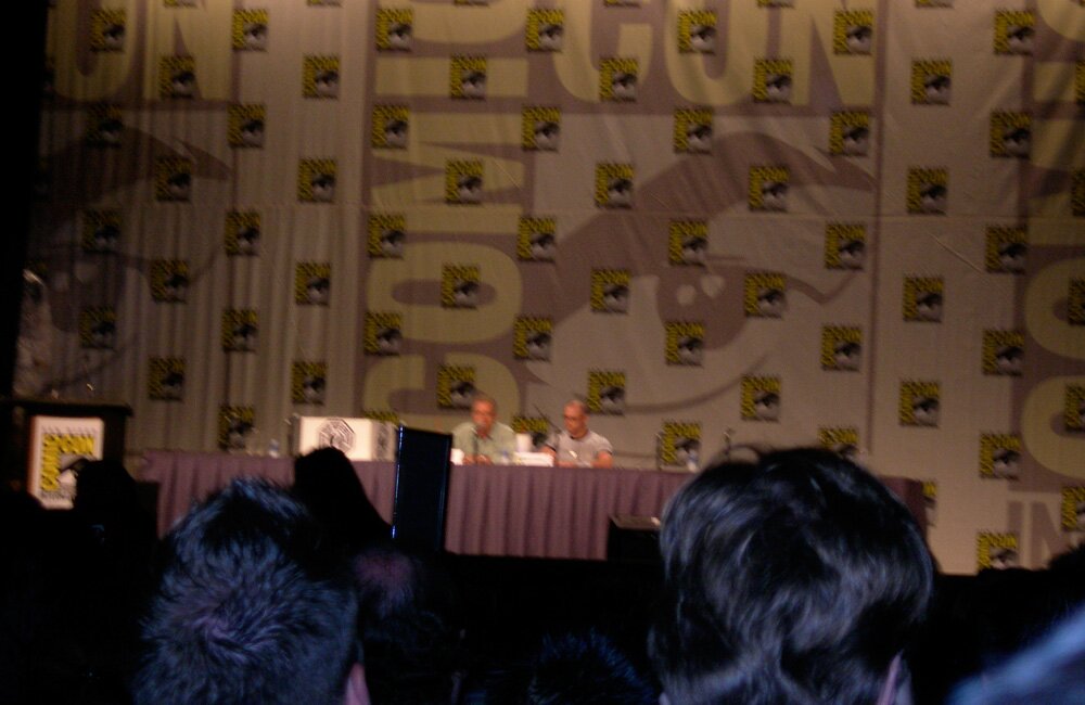 panel